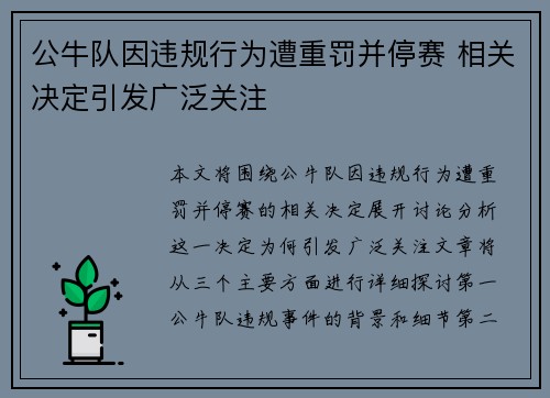 公牛队因违规行为遭重罚并停赛 相关决定引发广泛关注